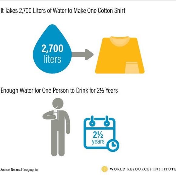 SUSTAINABLE ITEMS💚♻️🌷 - Picture 3 of 6